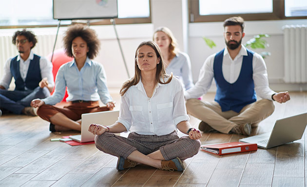 online meditation classes webinars virtual training Sydney