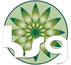 Holistic Services Group Logo